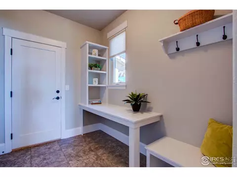 6450 Murano Dr, Windsor, CO 80550 photo 34