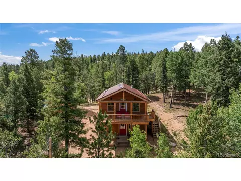 454 Wakanda Trl, Woodland Park, CO 80863