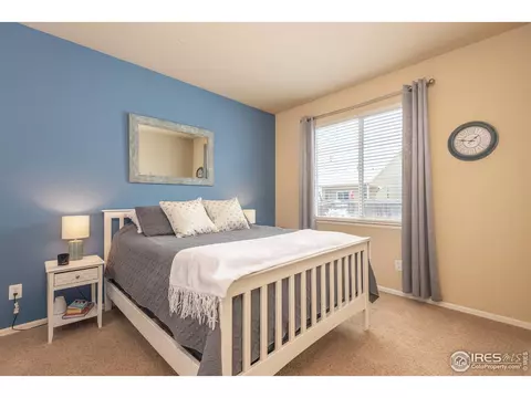 5576 Calgary St, Timnath, CO 80547 photo 15