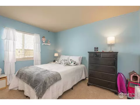 5576 Calgary St, Timnath, CO 80547 photo 20