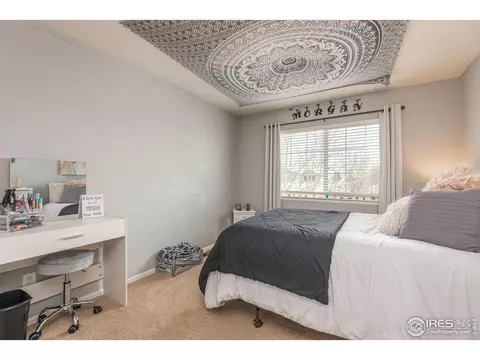 5576 Calgary St, Timnath, CO 80547 photo 21