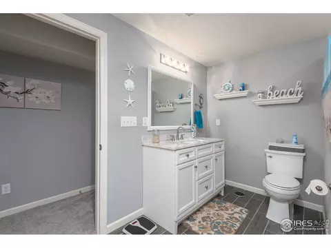 5576 Calgary St, Timnath, CO 80547 photo 31