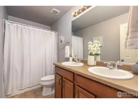 5576 Calgary St, Timnath, CO 80547 photo 23