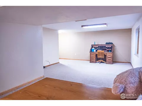 1105 Alpine Ct, Windsor, CO 80550 photo 28