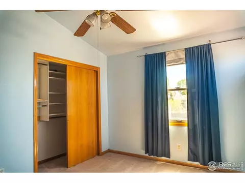 1105 Alpine Ct, Windsor, CO 80550 photo 25