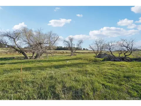 County Road 102, Elbert, CO 80106 photo 30
