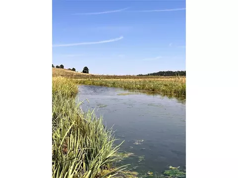 County Road 102, Elbert, CO 80106 photo 35