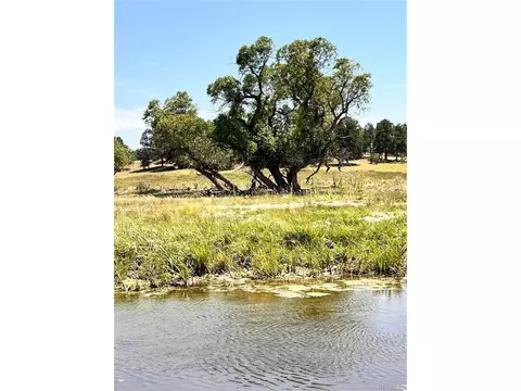 County Road 102, Elbert, CO 80106 photo 36