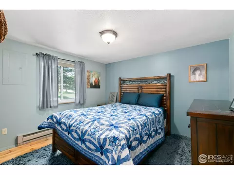85 Mount Massive Dr, Livermore, CO 80536 photo 12