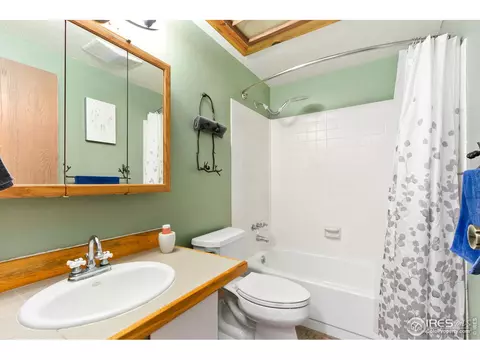 85 Mount Massive Dr, Livermore, CO 80536 photo 13