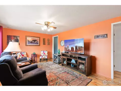 85 Mount Massive Dr, Livermore, CO 80536 photo 4