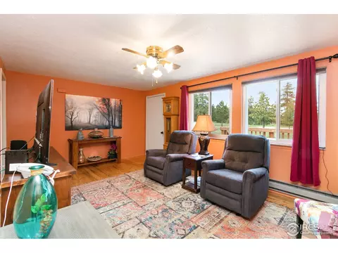 85 Mount Massive Dr, Livermore, CO 80536 photo 5