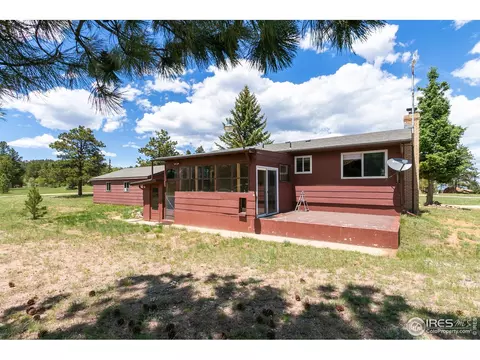 85 Mount Massive Dr, Livermore, CO 80536 photo 18
