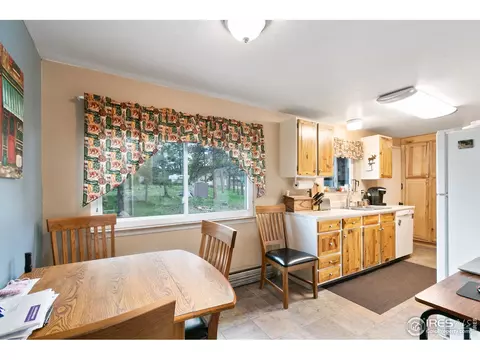 85 Mount Massive Dr, Livermore, CO 80536 photo 6