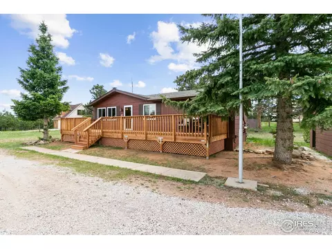 85 Mount Massive Dr, Livermore, CO 80536 photo 3