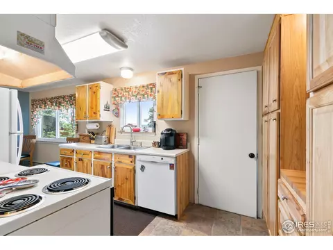 85 Mount Massive Dr, Livermore, CO 80536 photo 8