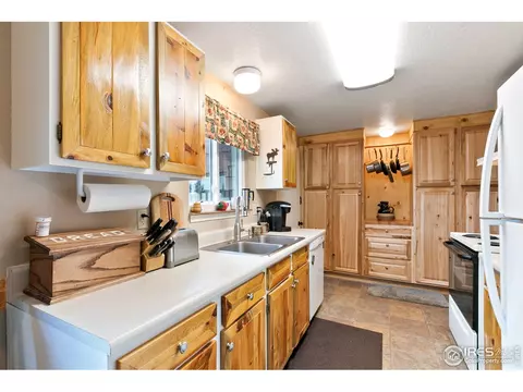 85 Mount Massive Dr, Livermore, CO 80536 photo 7