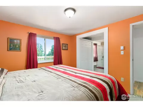 85 Mount Massive Dr, Livermore, CO 80536 photo 10