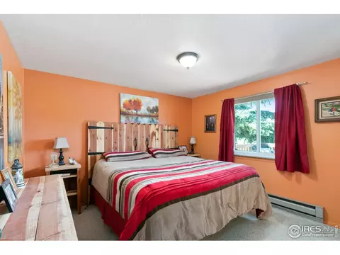 85 Mount Massive Dr, Livermore, CO 80536 photo 9