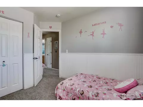 9696 Roadrunner Ave, Firestone, CO 80504 photo 28