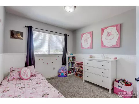 9696 Roadrunner Ave, Firestone, CO 80504 photo 27