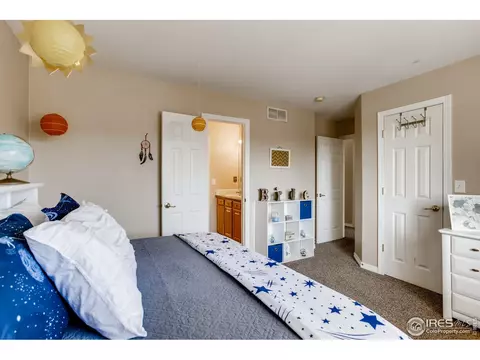 211 Cattail Bay, Windsor, CO 80550 photo 30