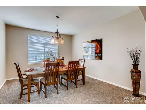 211 Cattail Bay, Windsor, CO 80550 photo 6