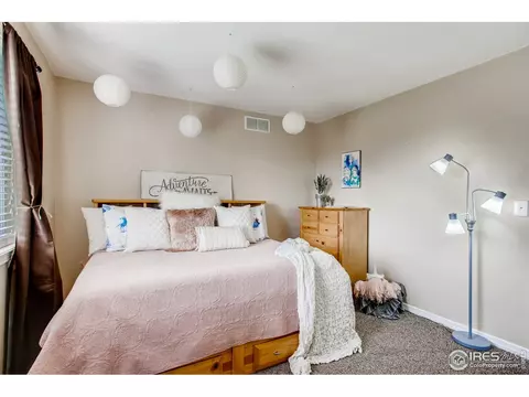 211 Cattail Bay, Windsor, CO 80550 photo 27