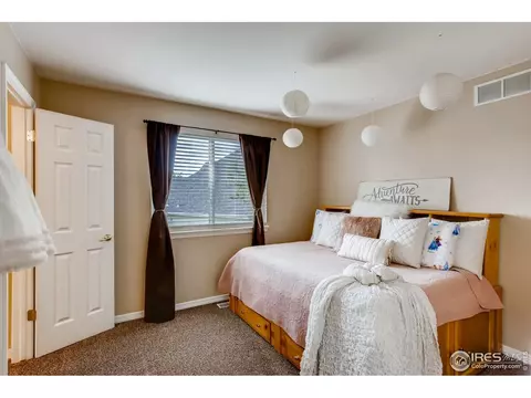211 Cattail Bay, Windsor, CO 80550 photo 25