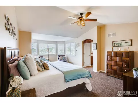 211 Cattail Bay, Windsor, CO 80550 photo 22