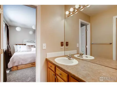 211 Cattail Bay, Windsor, CO 80550 photo 28