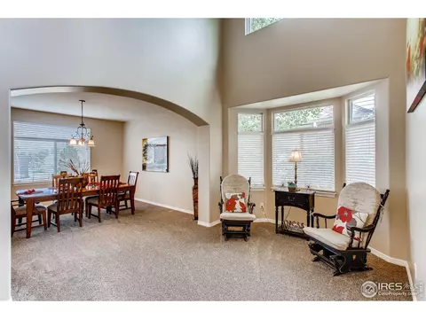 211 Cattail Bay, Windsor, CO 80550 photo 5