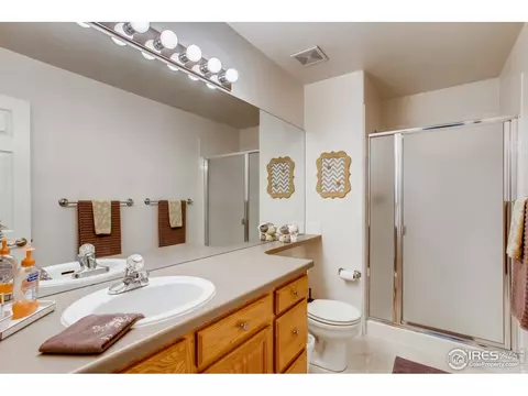 211 Cattail Bay, Windsor, CO 80550 photo 34