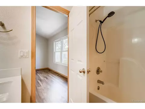 306 Hemlock Dr, Windsor, CO 80550 photo 23