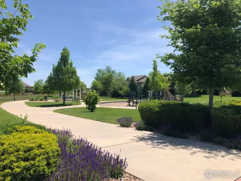 8376 Brandywine Ave, Frederick, CO 80504 photo 30