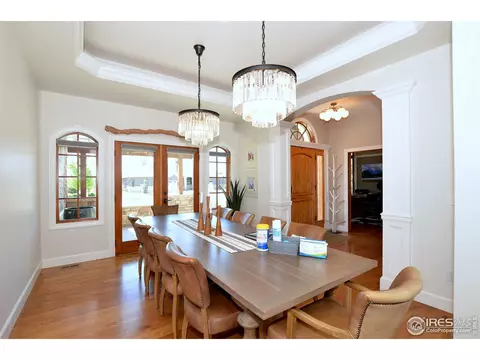 1820 Seashell Ct, Windsor, CO 80550 photo 15