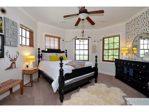 1820 Seashell Ct, Windsor, CO 80550 photo 27