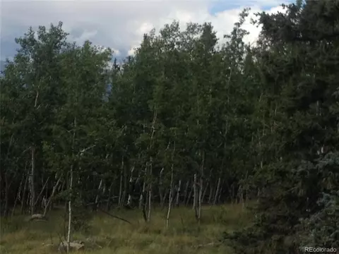 1225 Warpath Rd, Como, CO 80432 photo 9