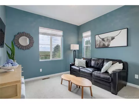 13790 Box Turtle Loop, Parker, CO 80134 photo 29