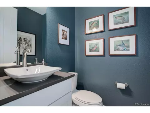 13790 Box Turtle Loop, Parker, CO 80134 photo 28