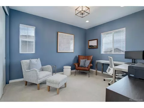 13790 Box Turtle Loop, Parker, CO 80134 photo 34