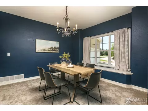 4764 Shavano Dr, Windsor, CO 80550 photo 22