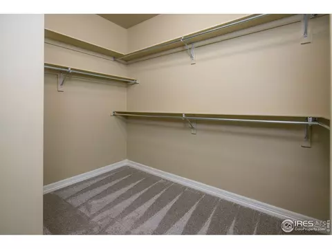 4764 Shavano Dr, Windsor, CO 80550 photo 19