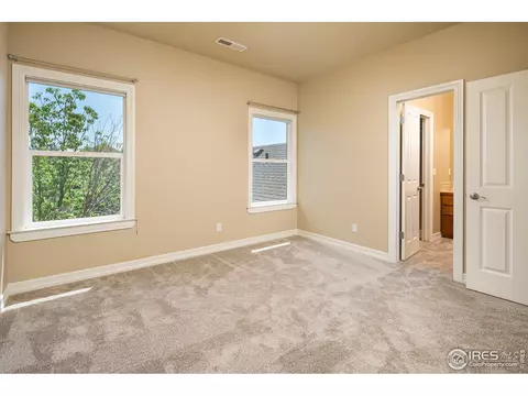 4764 Shavano Dr, Windsor, CO 80550 photo 23