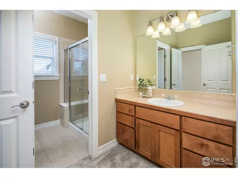 4764 Shavano Dr, Windsor, CO 80550 photo 24