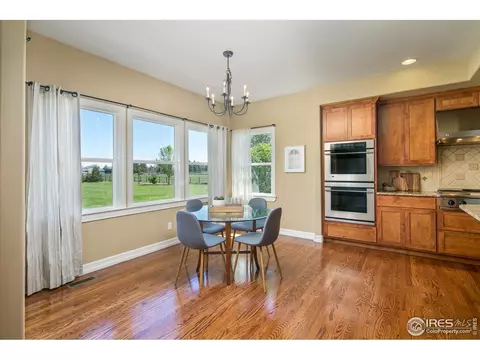 4764 Shavano Dr, Windsor, CO 80550 photo 11