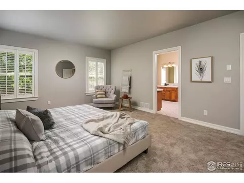4764 Shavano Dr, Windsor, CO 80550 photo 16