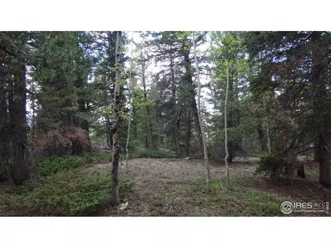 7 Hawk Way, Black Hawk, CO 80422 photo 7