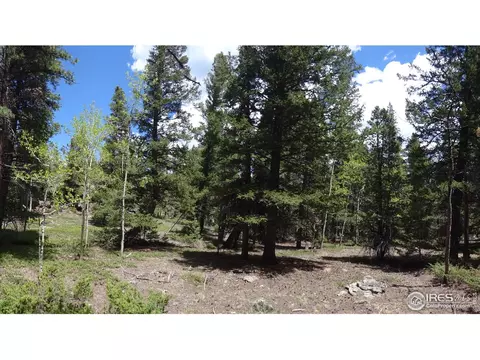 7 Hawk Way, Black Hawk, CO 80422 photo 6