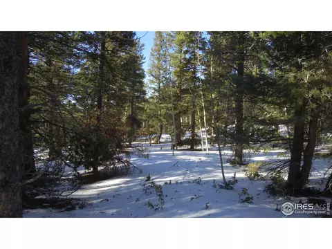 7 Hawk Way, Black Hawk, CO 80422 photo 10